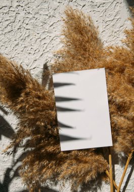 Kağıt, arka planda tüy olan ahşap bir masanın beyaz bir tabakasından kesilmiş..