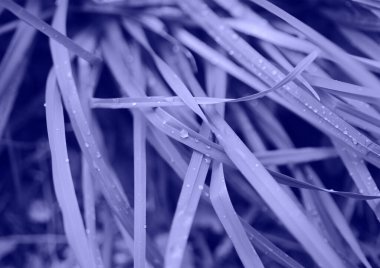 2022 yılının rengi çok peri. Renk konsepti, kopyalama alanı ile modelleme.