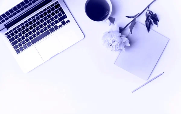 2022 yılının rengi çok peri. Renk konsepti, kopyalama alanı ile modelleme.