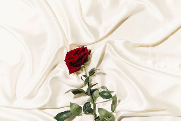 Крупним Планом Червона Троянда Шовковій Поверхні Концепція Святого Валентина Стокове Фото