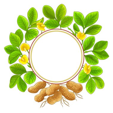beyaz arkaplanda fıstık çemberi vektör çerçevesi