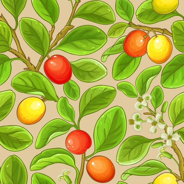 Ximenia Branches Vector Pattern Color Background — Stockvektor