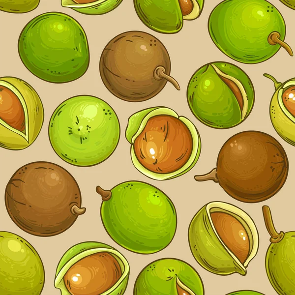 Mongongo Nuts Vector Pattern Color Background — Wektor stockowy