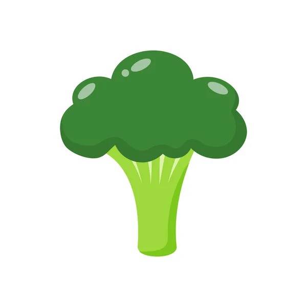 Fresh Broccoli Isolated White Background Broccoli Vegetable Nature Vector Stock —  Vetores de Stock