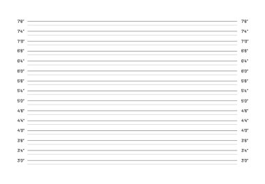 Polis sabıka fotoğrafı beyaz arka planda izole edildi. Suç ölçümleri sıralanıyor. Vektör deposu
