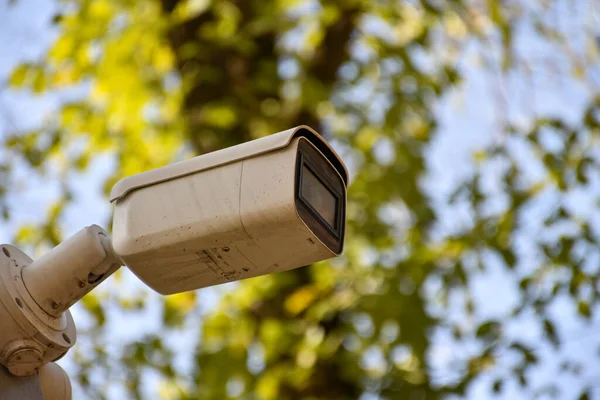 Sistema Seguridad Videovigilancia Aire Libre Cámara Seguridad Cctv Sobre Fondo —  Fotos de Stock