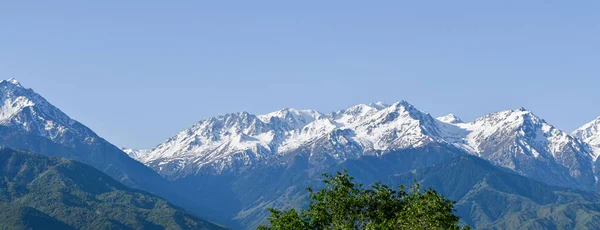 Foto Panorámica Montañas Nevadas Verano Primavera Kazajstán Qazaqstán Almaty —  Fotos de Stock