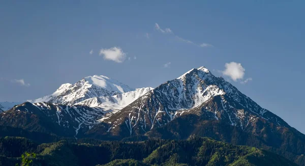Panoramic Shot Snow Capped Covered Green Forests Mountains Summer Spring — Stockfoto