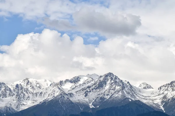 Montagnes Enneigées Enneigées Kazakhstan Almaty — Photo