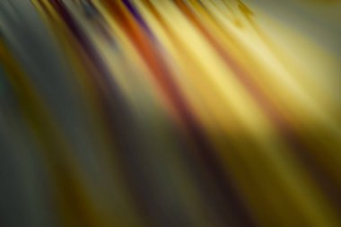 Sabun köpüğünün seçici odak çok renkli soyut yakın çekim yüzeyi