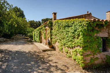 Eski İspanyol çiftlik evi. Açık kahverengi duvarlar yeşille kaplanmış. Hava çok güzel. Evin yanında ağaçlar olan bir patika.