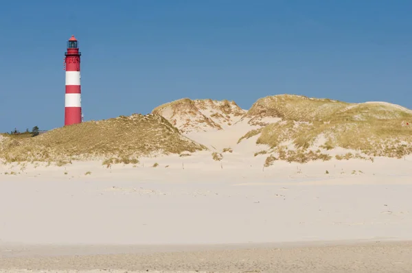 Πίσω Από Την Αμμώδη Παραλία Υπάρχει Ένα Τοπίο Από Αμμόλοφους — Φωτογραφία Αρχείου