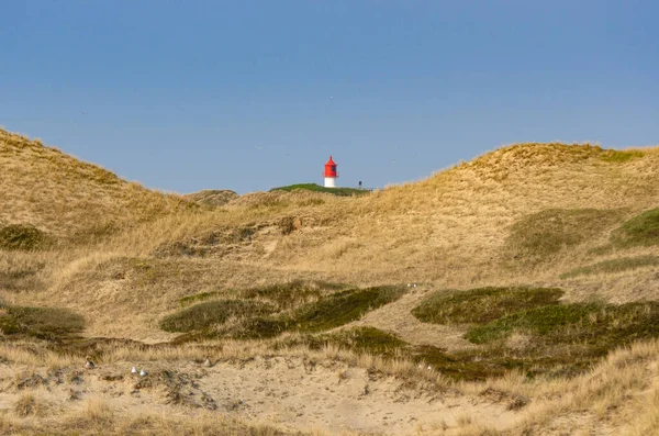 Red White Lighthouse Middle Stands Dune Landscape Partly Green Vegetation — Fotografia de Stock