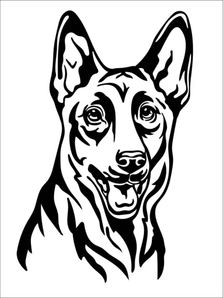 Бельгийский Портрет Пастуха Чёрного Цвета Векторная Иллюстрация Головы Собаки Спереди — стоковый вектор