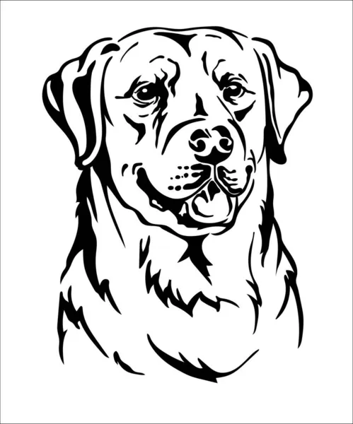 Labrador Retriever Dog Black Contour Portrait Dog Head Front View — Stock Vector