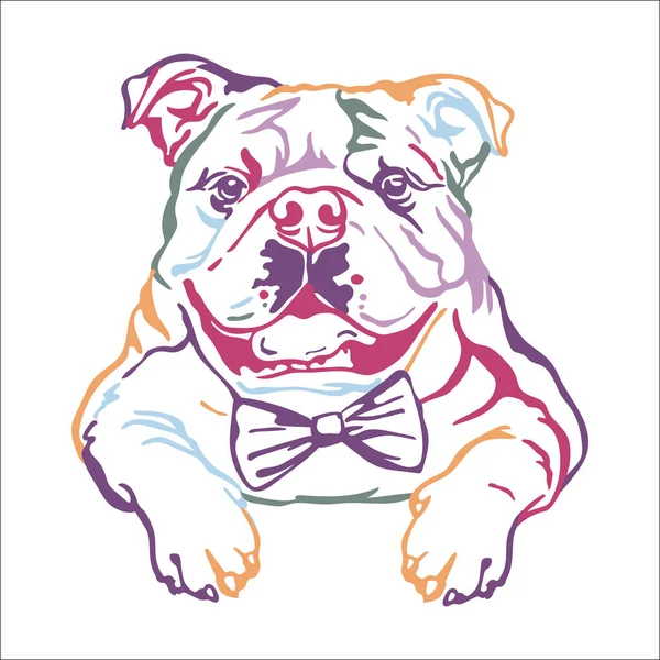 Angol Bulldog Színes Kontúr Portré Kutyafej Előre Néző Vektor Illusztráció — Stock Vector