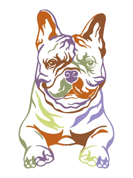 French Bulldog Color Contour Portrait Dog Head Front View Vector — Stock Vector
