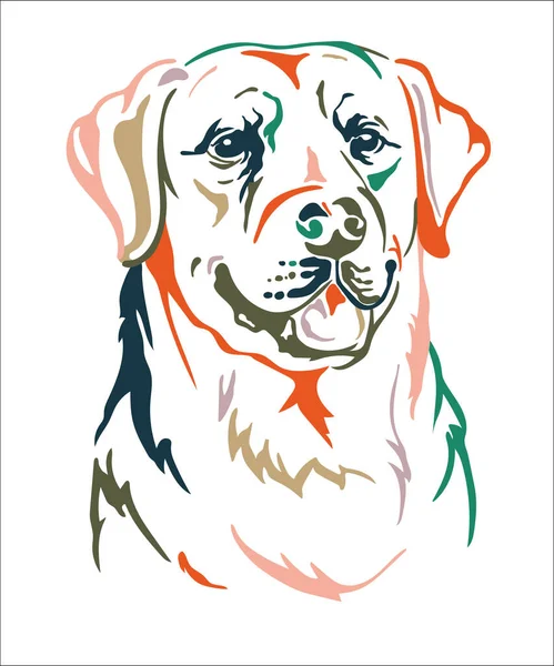 Labrador Retriever Dog Color Contour Portrait Dog Head Front View — Stock Vector