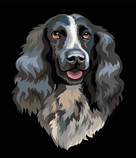 stock vector Realistic head of russian spaniel dog. Color vector illustration isolated on black background. For decoration, embroidery, design, print, posters, postcards, stickers, t-shirt