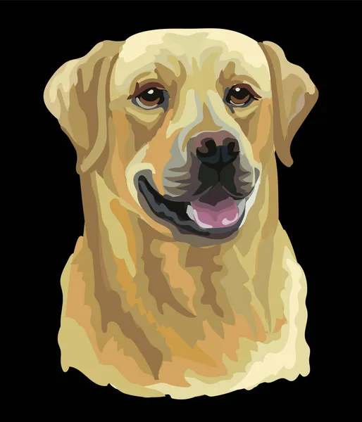 Realistic Head Labrador Retriever Dog Color Vector Illustration Isolated Black — Stock Vector