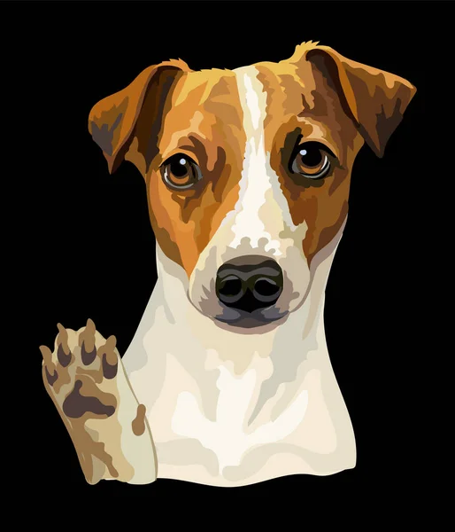 Tête Réaliste Chien Terrier Jack Russel Illustration Vectorielle Couleur Isolée — Image vectorielle