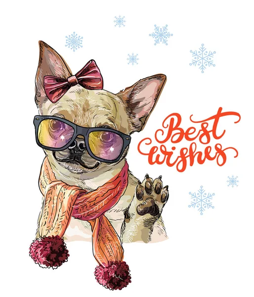 Weihnachten Hund Chihuahua Vektor Hand gezeichnete Illustration — Stockvektor
