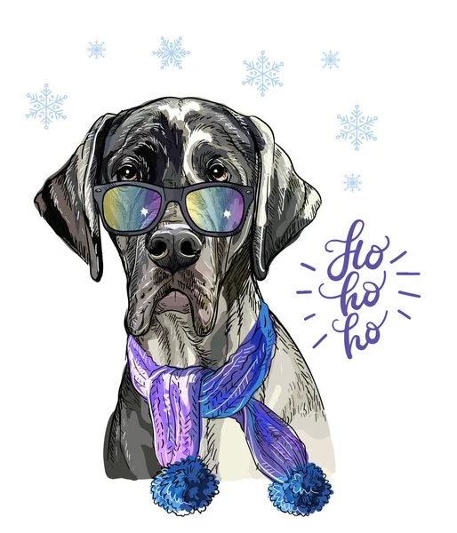 Vánoční pes velký Dane vektor ručně kreslené ilustrace — Stockový vektor