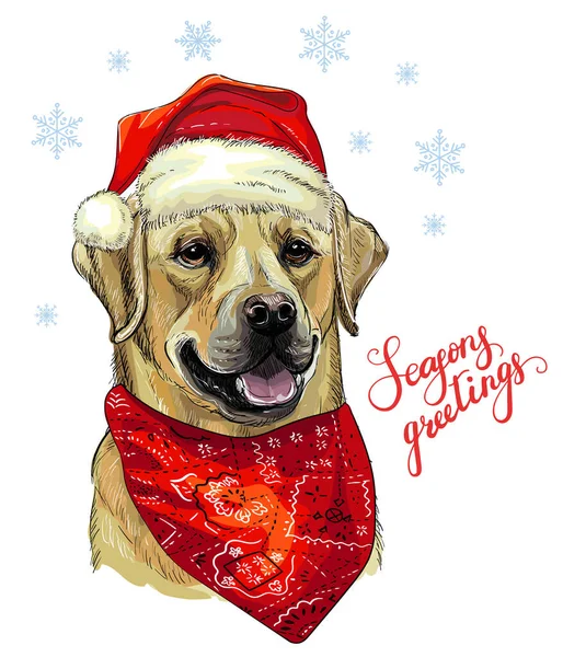 Weihnachten Hund Labrador Vektor handgezeichnete Illustration — Stockvektor