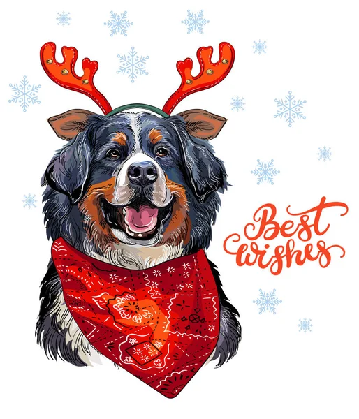 Weihnachten Berner Sennenhundevektor handgezeichnete Illustration — Stockvektor