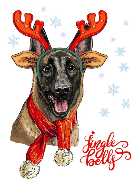 Weihnachten belgischer Schäferhund malinois Vektor handgezeichnete Illustration — Stockvektor