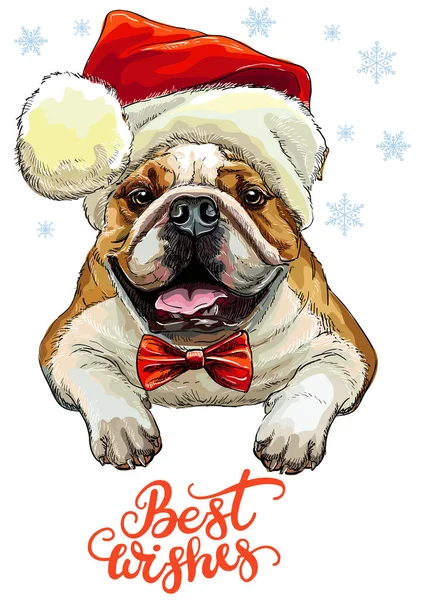 Weihnachten Hund Bulldogge Vektor Hand gezeichnet Illustration rot — Stockvektor