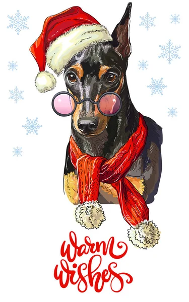Weihnachten Hund Pinscher Vektor handgezeichnete Illustration — Stockvektor