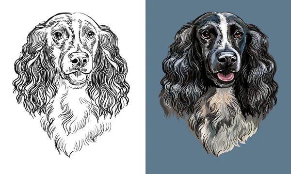 Realistic Isolated Head Spaniel Dog Vector Hand Drawing Illustration Monochrome — стоковый вектор