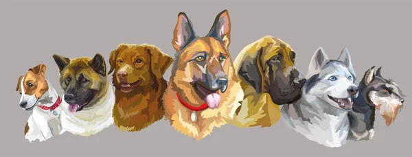Set Colorati Ritratti Vettoriali Realistici Diverse Razze Cani Illustrazione Isolata — Vettoriale Stock