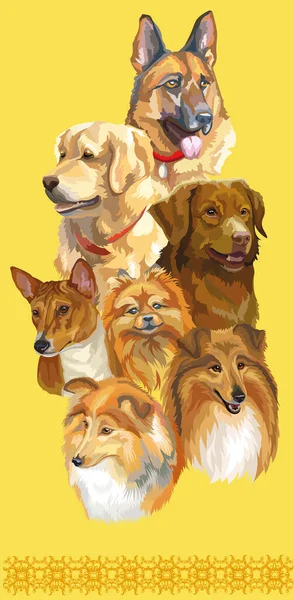 Conjunto Retratos Vetoriais Realistas Coloridos Diferentes Raças Cães Ilustração Isolada —  Vetores de Stock