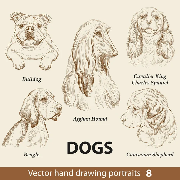 Χέρι Σύνολο Σχεδίασης Από Ένα Χαριτωμένο Σκυλιά Φυλές Μέρος Σκύλοι — Διανυσματικό Αρχείο