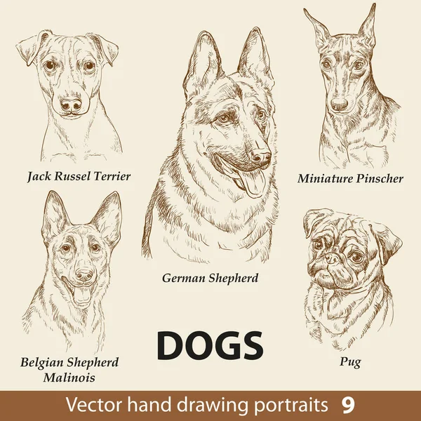 Hand Drawing Set Cute Dogs Breeds Part Dogs Head Isolated — Stock Vector