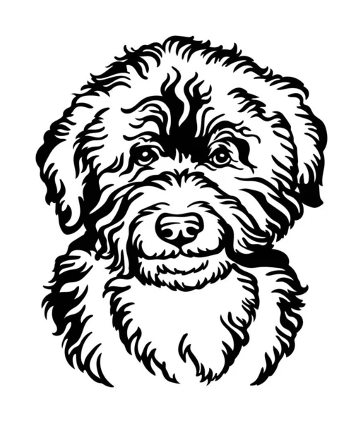 Портрет Собаки Барбета Чёрного Цвета Векторная Иллюстрация Головы Собаки Спереди — стоковый вектор