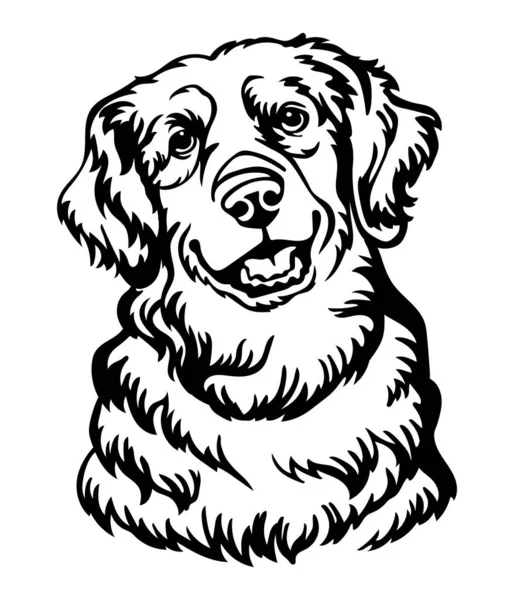 Golden Retriever Dog Black Contour Portrait Dog Head Front View — Stock vektor