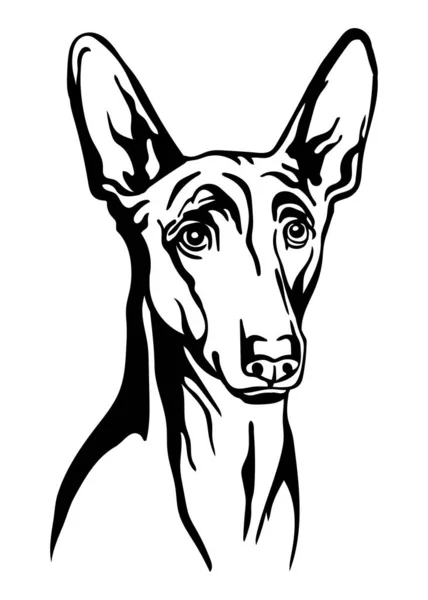 Pharaon Dog Black Contour Portrait Dog Head Front View Vector — Stock Vector
