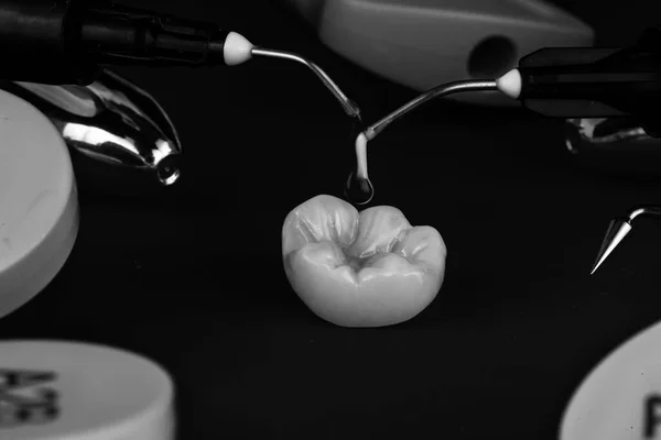 Ceramic Crown Morphology Dental Paints Black White Style — Stock Photo, Image