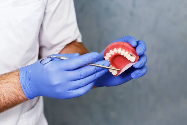 Dokter Ortodontis Dan Model Dengan Kawat Gigi — Stok Foto