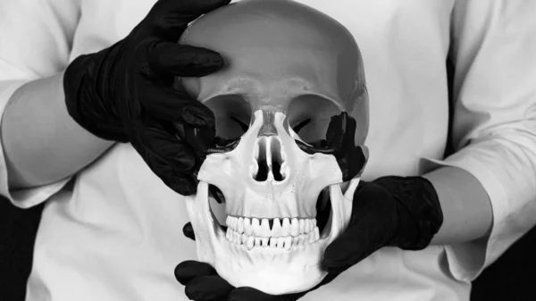 Crânio Gesso Nas Mãos Médico Luvas Pretas Estilo Preto Branco — Fotografia de Stock