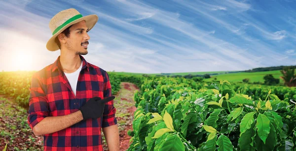 Boer Met Hoed Voor Een Koffieplantage Gewas Bij Zonsondergang Boerderij — Stockfoto