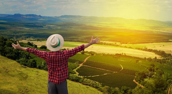 Boer Met Hoed Voor Een Koffieplantage Gewas Bij Zonsondergang Boerderij — Stockfoto