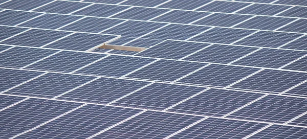 Düzenlenmiş Bir Güneş Fotovoltaik Panelinin Önüne Odaklan — Stok fotoğraf
