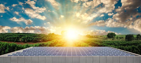 Piękny Zachód Słońca Nad Panelem Słonecznym Photovoltaic Company Building Farm — Zdjęcie stockowe