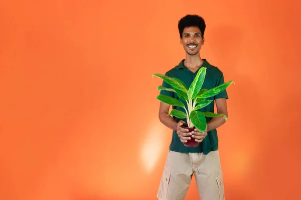 緑のシャツを持つハンサムな黒人男性オレンジの背景に隔離された植物を保持 — ストック写真