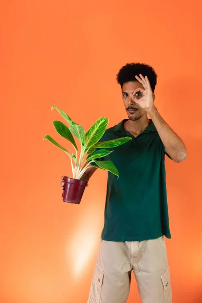 Przystojny Czarny Człowiek Zieloną Koszulą Gospodarstwa Roślin Izolowanych Pomarańczowym Tle — Zdjęcie stockowe