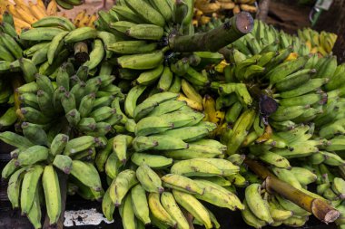 Ripped Yellow and Green Frash Bananas on Wood Table. Nature and healthy food concepts. 